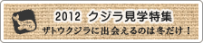 �N�W�����w���W